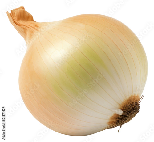 PNG Onion vegetable shallot plant