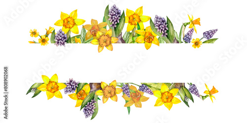 Frame with bulbous flowers yellow daffodils, primroses, purple hyacinths and muscaria. Spring flowers. Hand drawn watercolor for banner, frame, border, template, board,card, blank