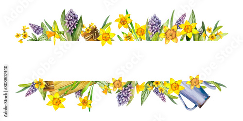 Banner with bulbous flowers yellow daffodils, primroses, purple hyacinths and muscaria, blue watering can. Hand drawn watercolor for banner, frame, border, template, board, card, blank