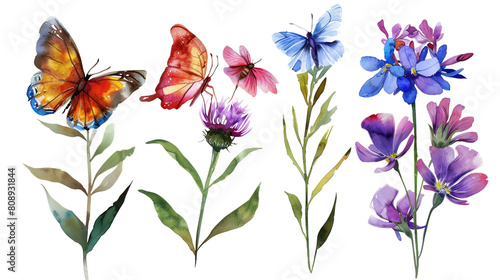 Set of butterfly attracting flowers Milkweed, Butterfly Bush, Coneflower, Phlox vibrant and inviting in watercolor, isolated on transparent background