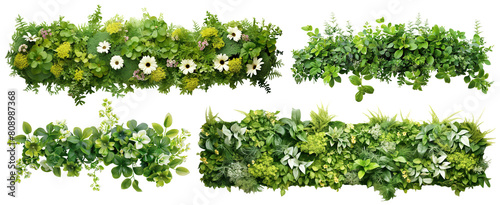 Set of green garden walls from tropical plants and flowers, cut out