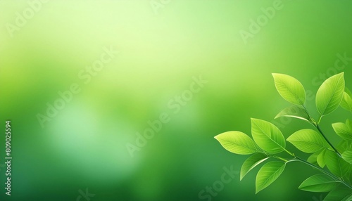 Vibrant green leaves in focus on a soft, blurred green natural background