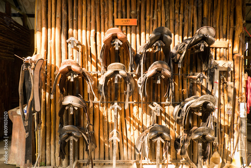 Leather horse bridles and bits hanging on a wooden wall of stable at a horse farm..