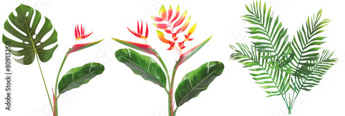 set of displays of heliconia with palm fronds and monstera leaves, isolated on transparent background