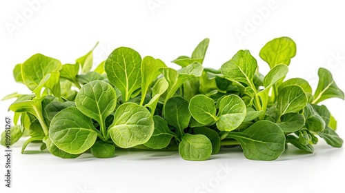 A close-up image of a handful of fresh, green leaves