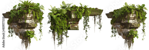 set of mossy creepers with a dewy texture, hanging over ancient stone ruins, isolated on transparent background