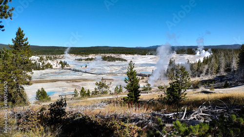 View of the Norris Geyser Basin at Yellowstone National Park.