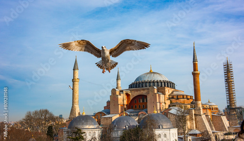 Hagia Sophia / Ayasofya. Hagia Sophia is the famous historical building of the Istanbul. Turkey.