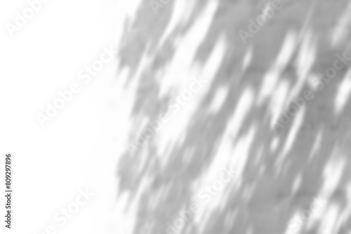 Tree shadow png overlay effect, transparent background
