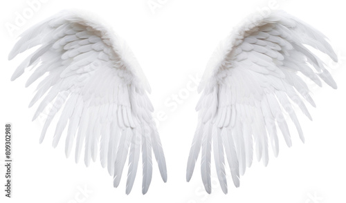 PNG Pair of white angel wing bird white background archangel. 