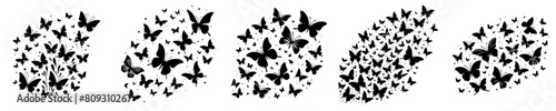 insect, vector, butterfly, design, silhouette, black, fly, nature, isolated, set, spring, white, collection, summer, beautiful, decoration, graphic, animal, art, illustration, wing, natural, icon, dec