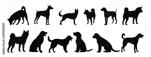 vector, isolated black silhouette of a dog, collection