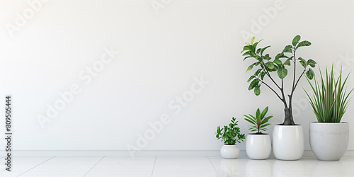 Minimalist Plant Corner: Design a minimalist plant corner with a few carefully selected potted plants arranged against a clean white wall to bring a touch of nature indoors.