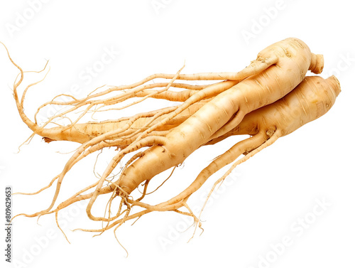 Ginseng Roots Isolated on White Background for Herbal Medicine Supplements and Skincare Products