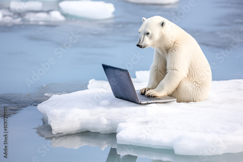 A polar bear is sitting on a laptop in the middle of a frozen lake