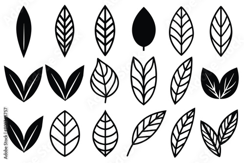 Doodle Leaves Collection Set vector design