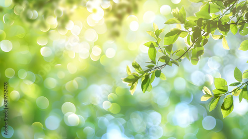 Springtime scene with abstract banner and green bokeh lights that are blurry.
