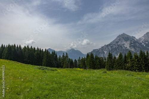 ampia visuale panoramica che mostra un ambiente naturale di montagna nel nord est Italia, visto da un prato fiorito, di pomeriggio, in estate, sotto un cielo nuvoloso