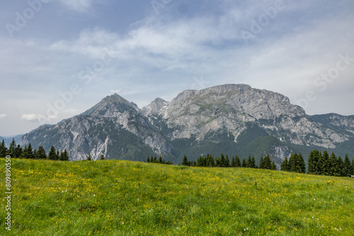visuale panoramica su un ambiente naturale di montagna che si estende da un prato verde, ricco di fiori gialli, fino ad una catena di montagne distante, sotto un cielo parzialmente nuvoloso, in estate