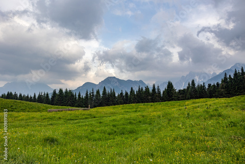 ampia visuale panoramica che si estende da un vicino prato verde pieno di fiori e una foresta, in estate, verso le montagne distanti del nord est Italia, sotto un cielo nuvoloso, di pomeriggio