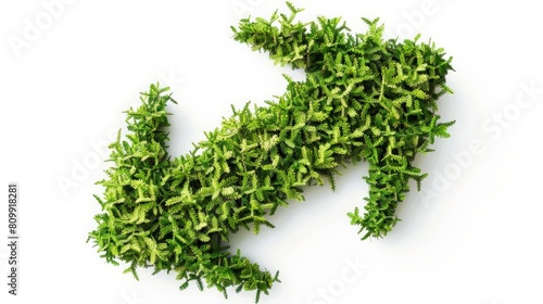 The green recycle symbol made of growing plants