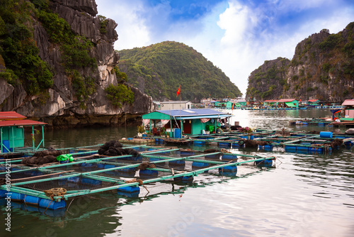 Floating fishing village in sea bay in Vietnam, boats and islands