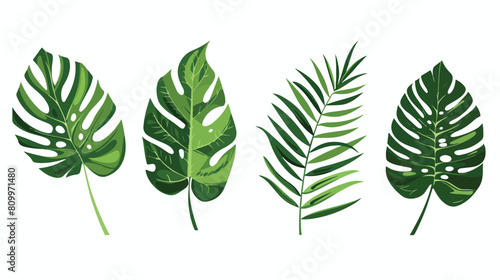 Tropical jungle leaves Four. Green leaf exotic 
