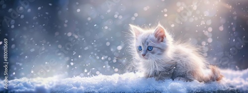 A white kitten with blue eyes, fluffy fur sitting on white snow in the style of a cute cartoonish animal art.