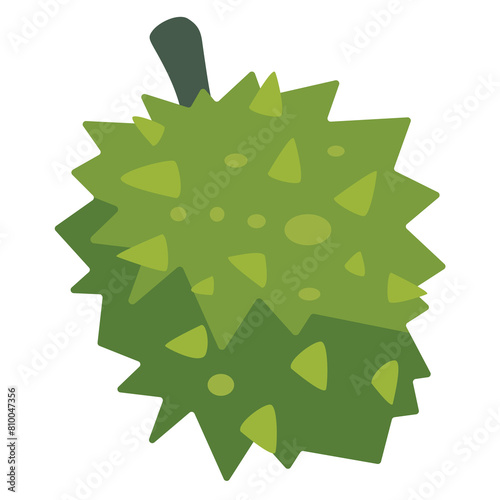 Durian vector image, asian tropical fruit, king of fruits illustration, duren or duryoen isolated on white background, durean or dorian clipart