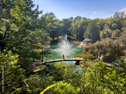 Photograph of park in Williston, Florida, USA. March 21, 2024. 