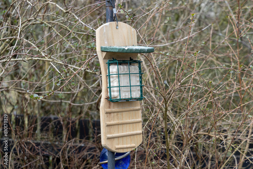 Woodpecker bird feeder with square suet block hung on metal post backyard garden