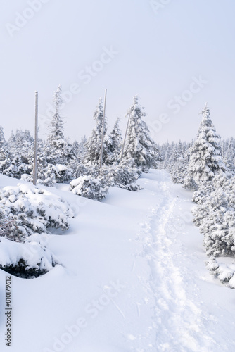 Szlak na Szrenice podczas zimowej wedrowki, Szklarska Poreba. Zimowa atmosfera, oszronione skaly, mglisty dzien.