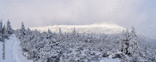 Szlak na Szrenice podczas zimowej wedrowki, Szklarska Poreba. Zimowa atmosfera, oszronione skaly, mglisty dzien. Panoramiczny widok gór.