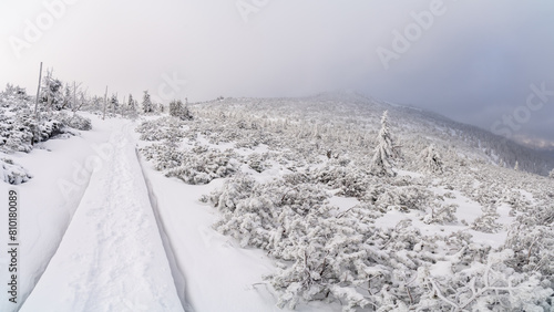 Szlak na Szrenice podczas zimowej wedrowki, Szklarska Poreba. Zimowa atmosfera, oszronione skaly, mglisty dzien.
