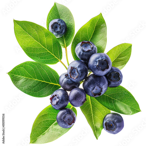 blueberries with leaves