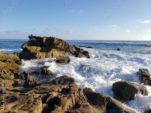 One seagull on the rock while waves crashing on the rocks at Laguna Beach Southern California 