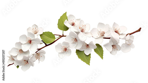 Condolence Card isolated on transparent png background. Generative ai