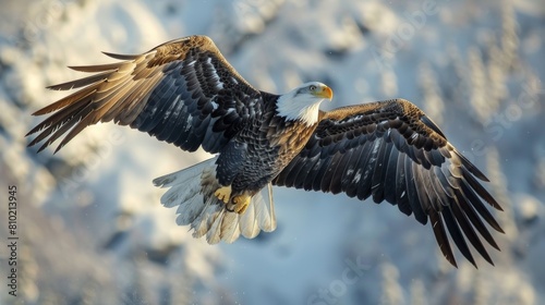A powerful bald eagle flies over a snowy landscape, showcasing strong wings and intense gaze