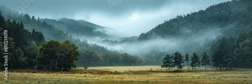 Misty morning with sunrise gently illuminating a lush forest landscape and meadow