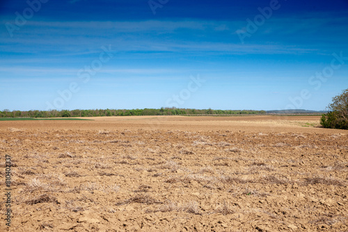 Panorama of fields, a green field & a brown plowed field with furrows on Agricultural landscape, in countryside, berkasovo, Serbia, Voivodina. The plough is a agriculture technique to fertilize a land