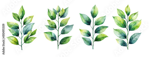 cutout leaves green isolated element design, season backdrop branch forest wallpaper
