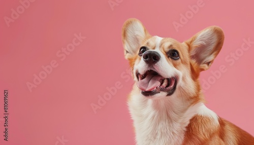A small dog with a pink background is smiling and looking at the camera by AI generated image