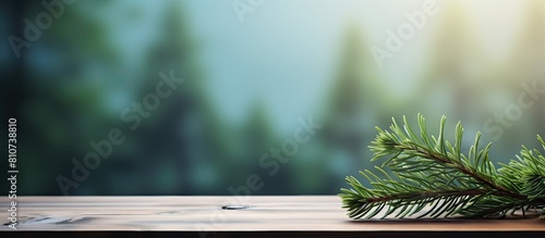 Copy space image of a fir tree branch resting on a wooden table