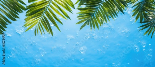 A tropical spa with a top down view of the main body care on a blue background offering a copy space image