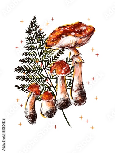 fly mushroom, large and small red fly agaric mushrooms with a fern leaf