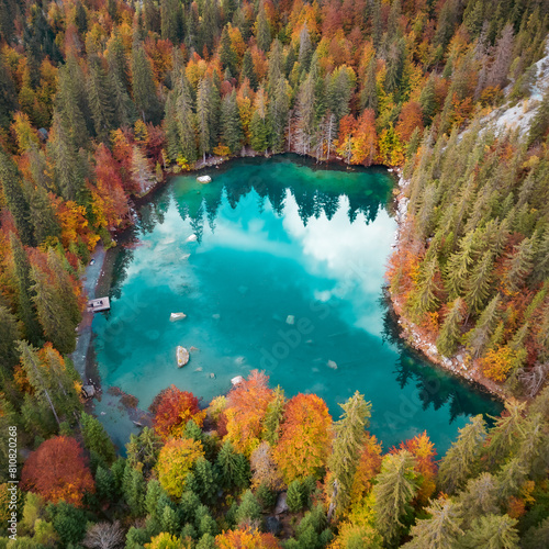 Lac drone forêt