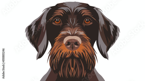 Drahthaar breed dog head avatar. German wirehaired 
