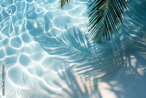 Top view of water surface with tropical leaf shadow. High-resolution. Beautiful simple AI generated image in 4K, unique.