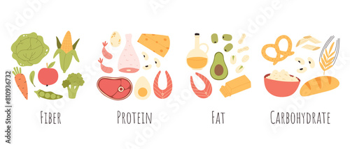 Set of healthy macronutrients. proteins, fats and carbs or carbohydrates presented by food products. Flat vector illustration of nutrition categories isolated on white background