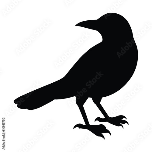 silhouette of a animal grackle bird